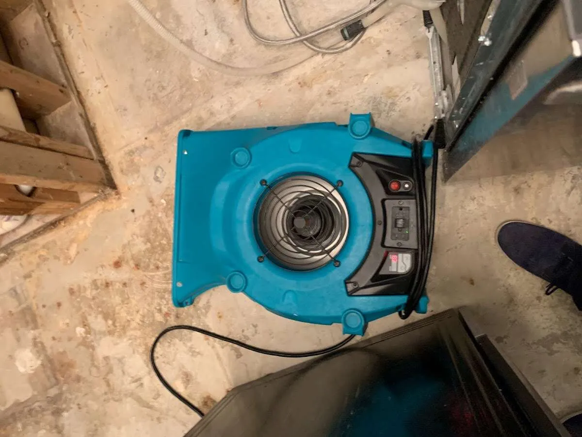 Air mover drying equipment for Mold Remediation & Removal in Lake Mary